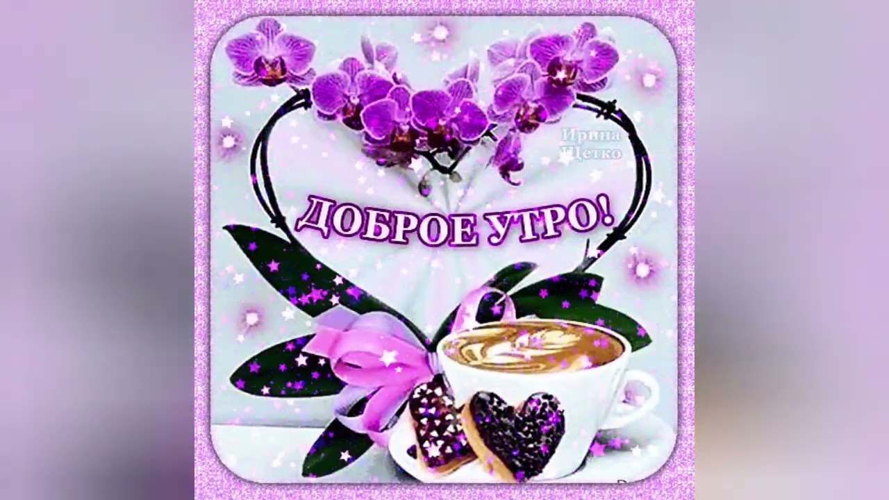 11 марта 2026 г.