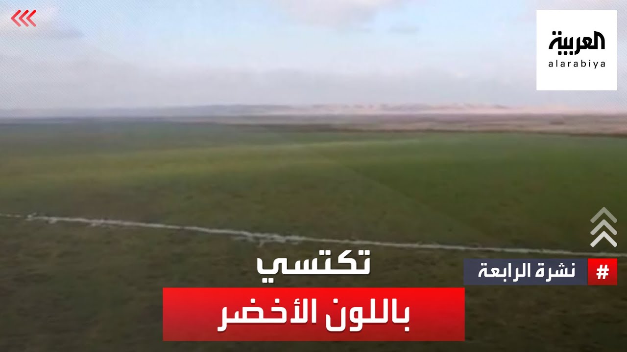 صور حصرية.. محمية الملك عبد العزيز برداء أخضر
