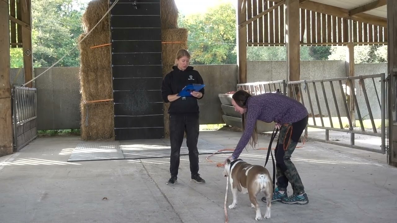 Kate & Harley SR1 Pass