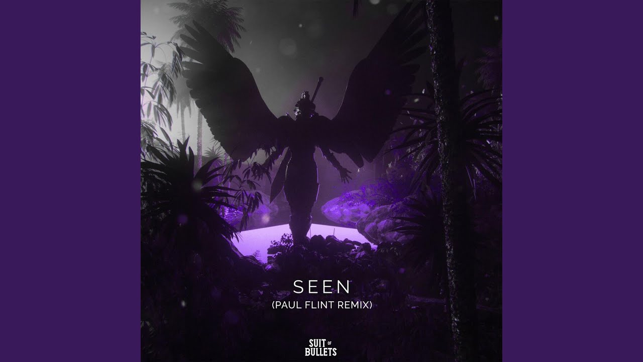 Seen (feat. Veronica Bravo) (Paul Flint Remix)