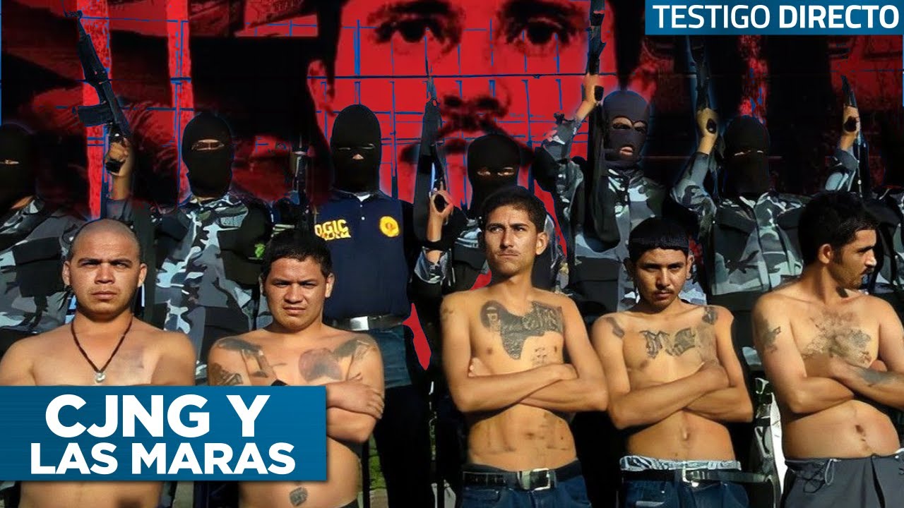 Especial 'Cártel Jalisco Nueva Generación, mafia sin fronteras' | Capítulo 6/10 Testigo Directo