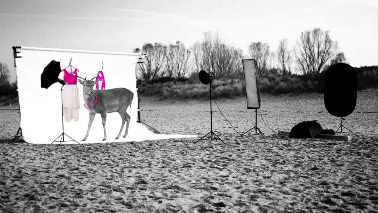 Fashioncheque TVC Concept