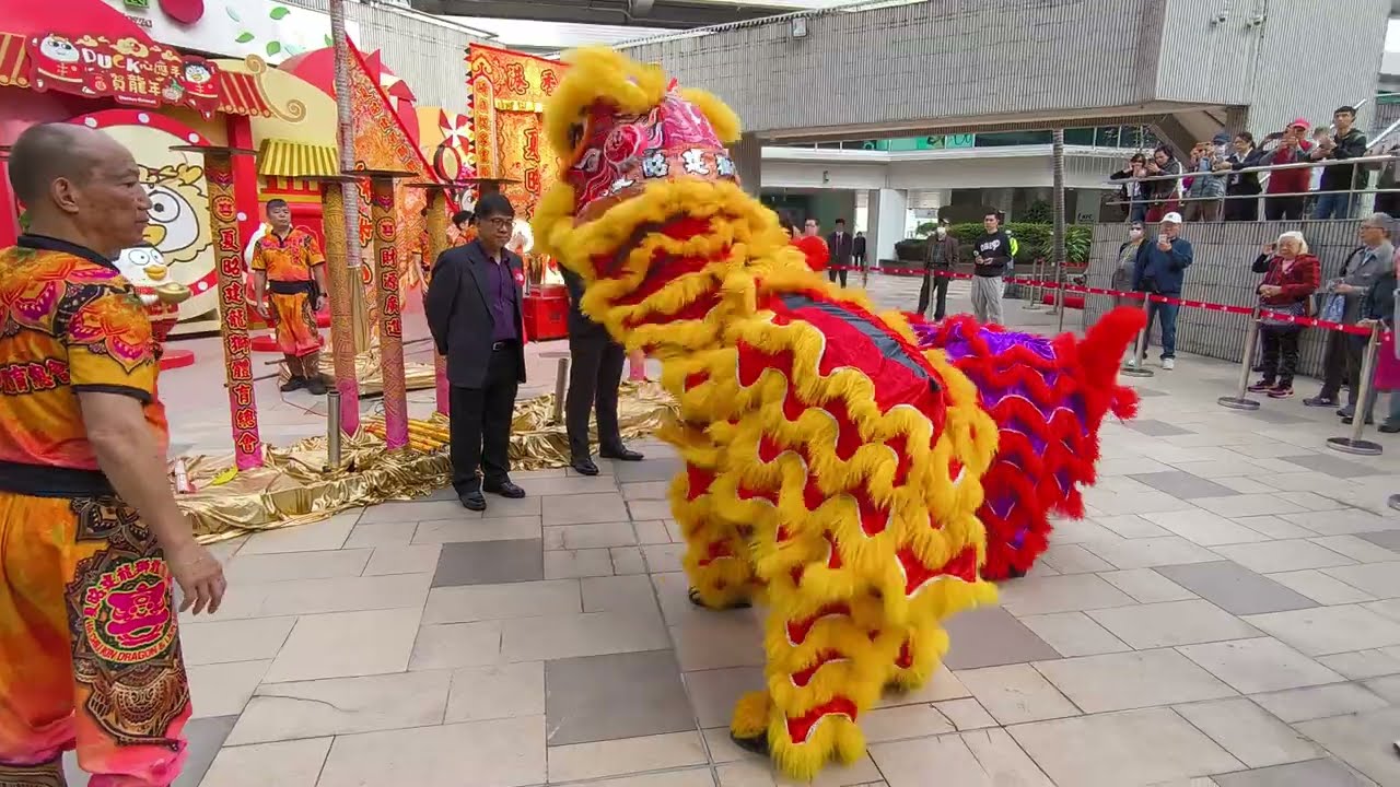 【龍重登場醒獅表演】 夏昭建龍獅體育總會 置富第一城 年初九 (2024.2.18) 甲辰龍年