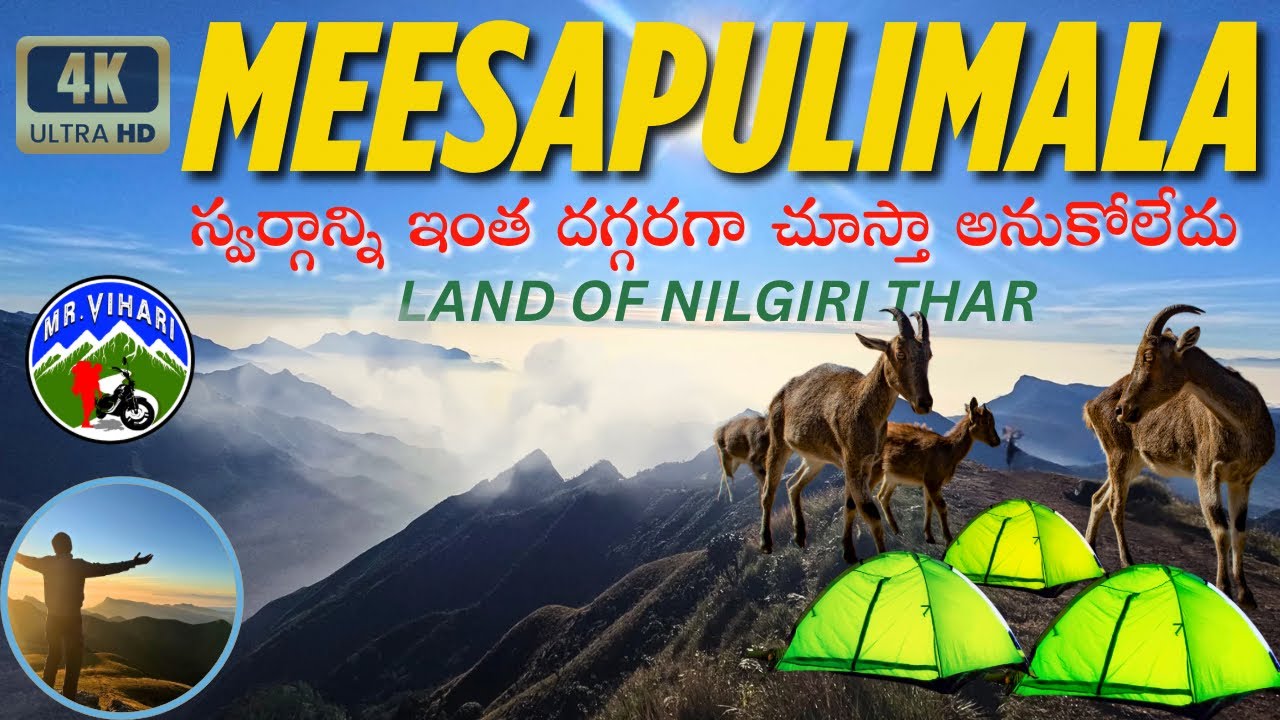 Kerala hidden paradise | Meesapulimala adventure in telugu | highest Mountain peak |