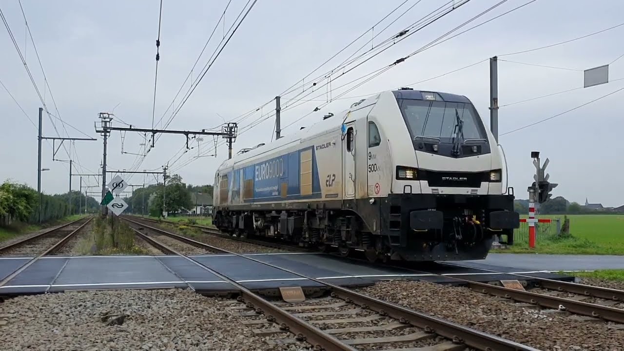 Testrit Euro9000