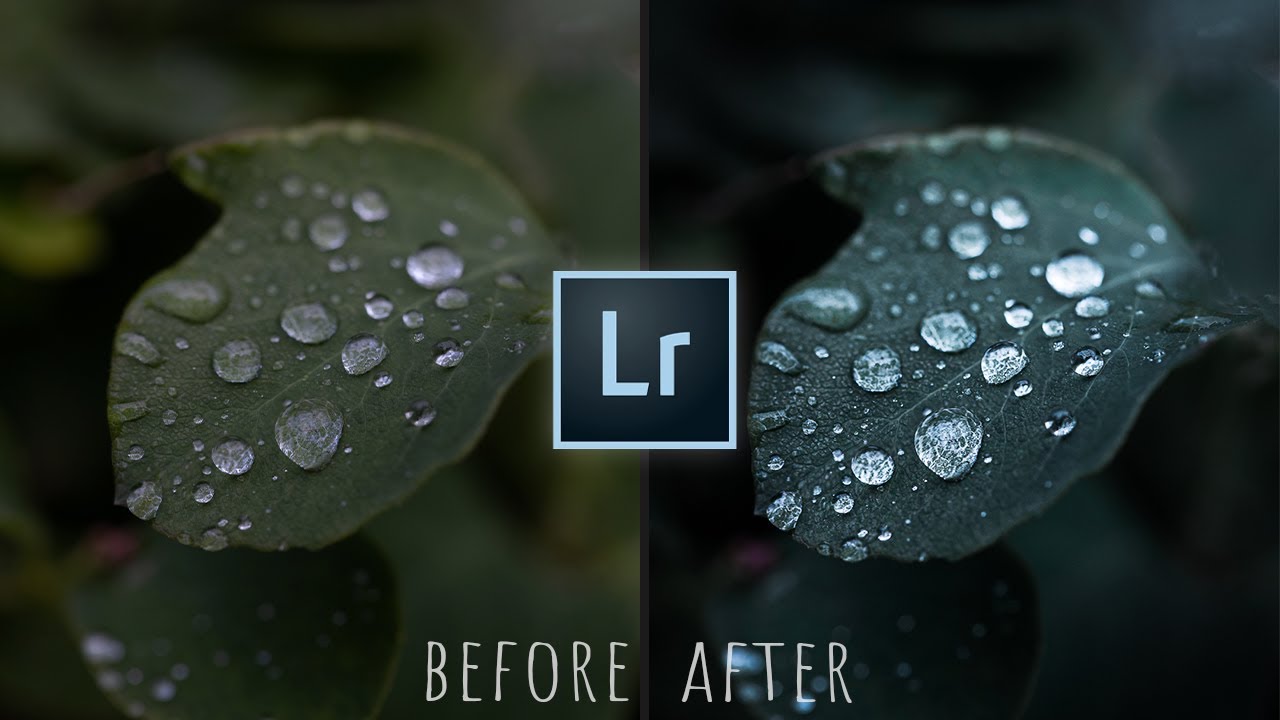 How To Edit MOODY NATURE Photos in LIGHTROOM | Editing Tutorial