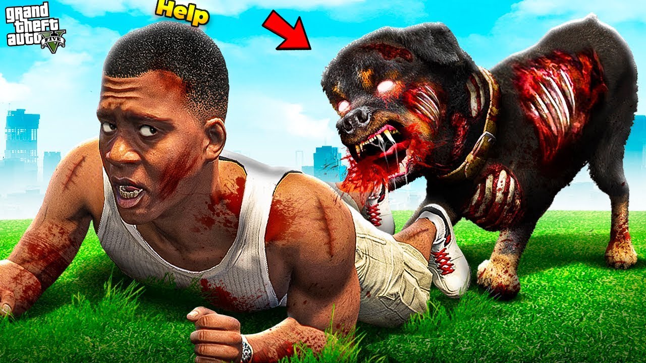 Franklins Chop Have Something Wrong in GTA 5 !