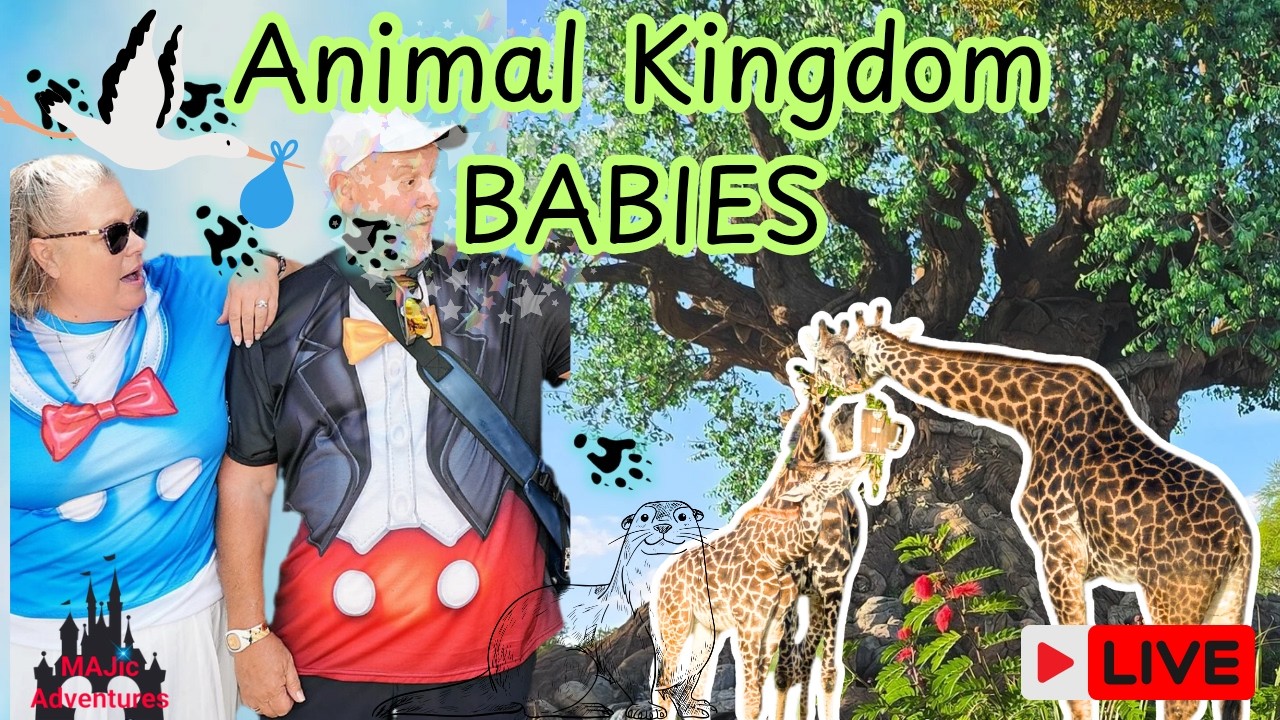 🔴 LIVE Animal Kingdom BABIES! 🐾 First Look at the Newest Arrivals!!
