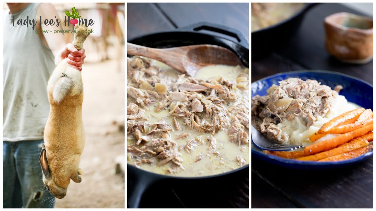 How to Cook a Rabbit - Simple Rabbit in Cream Sauce Recipe