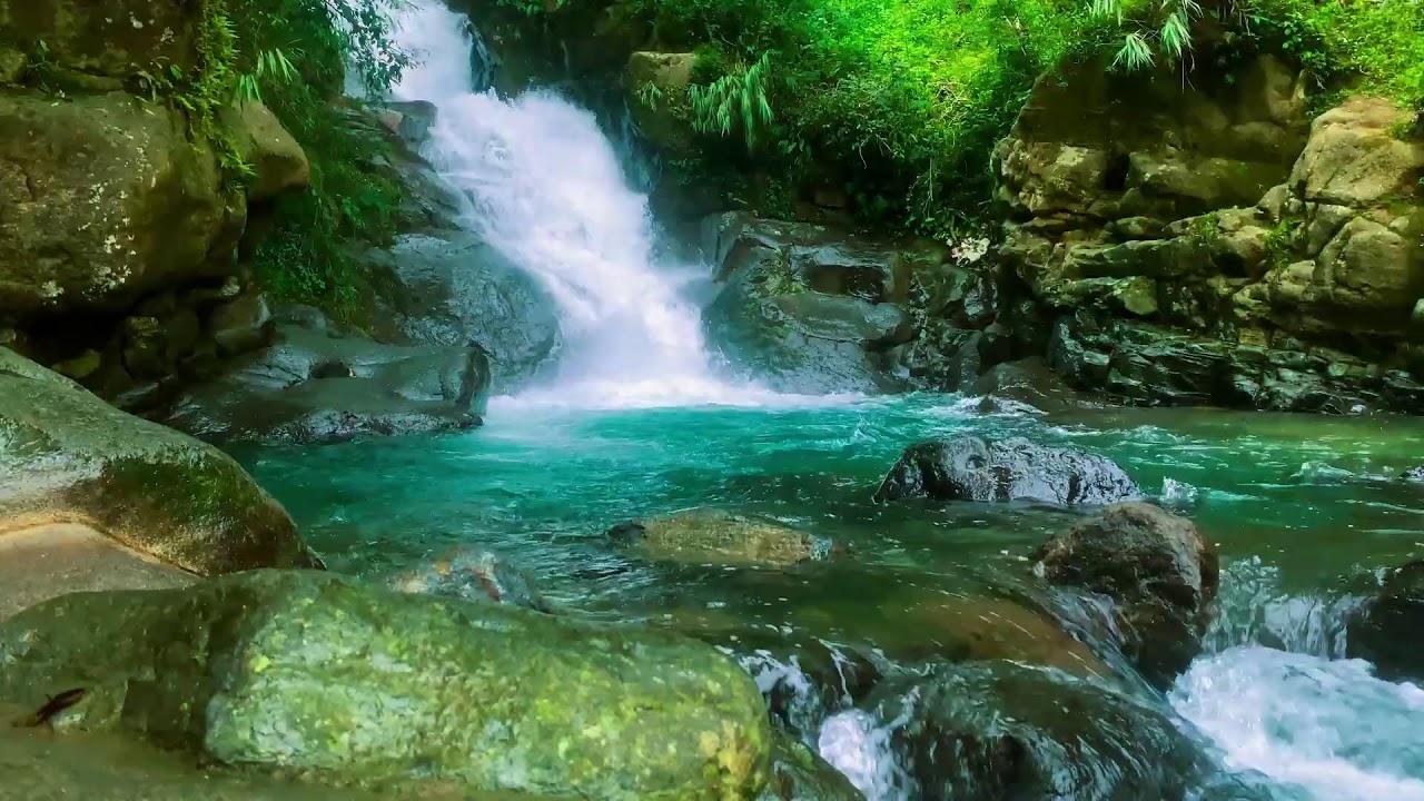 ТЫ УСНЕШЬ ЗА 3 МИНУТЫ 💦 Кристально чистая река в прохладных джунглях