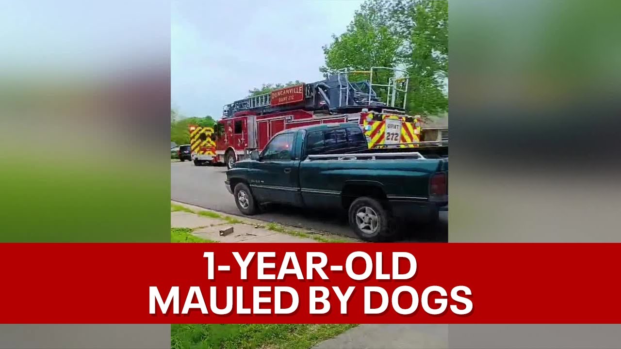 1-year-old boy mauled to death by 3 dogs at Duncanville home