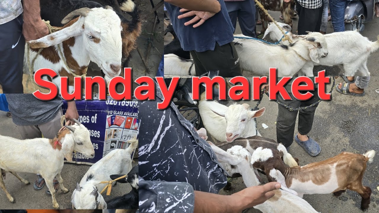 Erragada sunday market  multiple collection