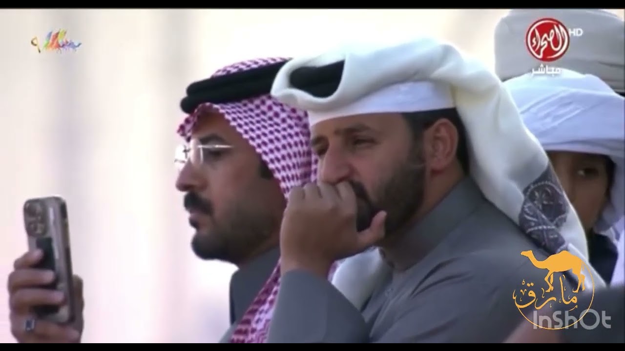 شوط مفاريد (بكار) للون الحمر والشقح #مهرجان_الملك_عبدالعزيز_للإبل9 الجزء الثاني