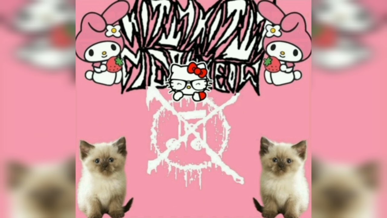 KITTY KITTY MEOW MEOW --- Cats are pretty cool