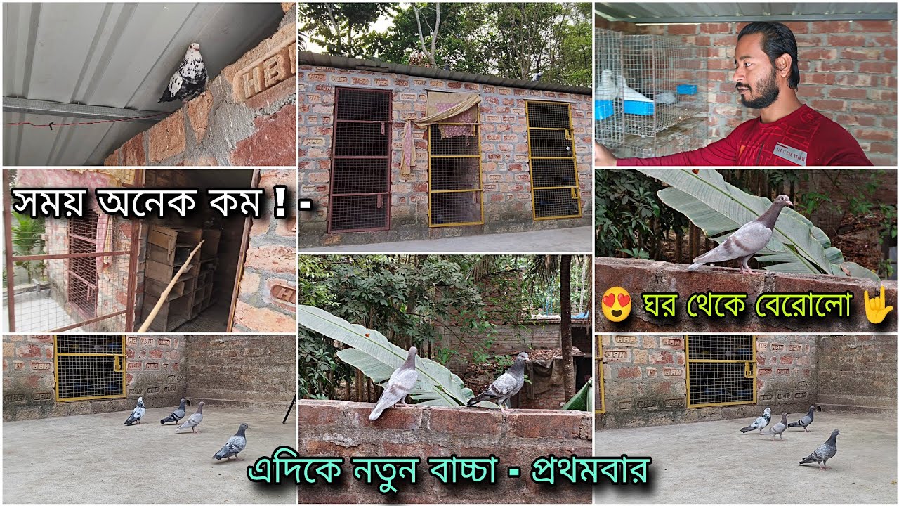 সময় অনেক কম ! - এদিকে নতুন বাচ্চা - প্রথমবার 😍 ঘর থেকে বেরোলো 🤟