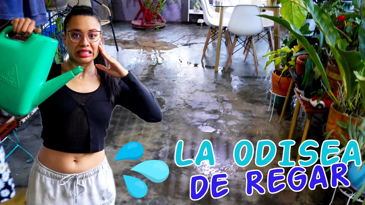 La odisea de regar mis 150 plantas de la sala │Candy Bu
