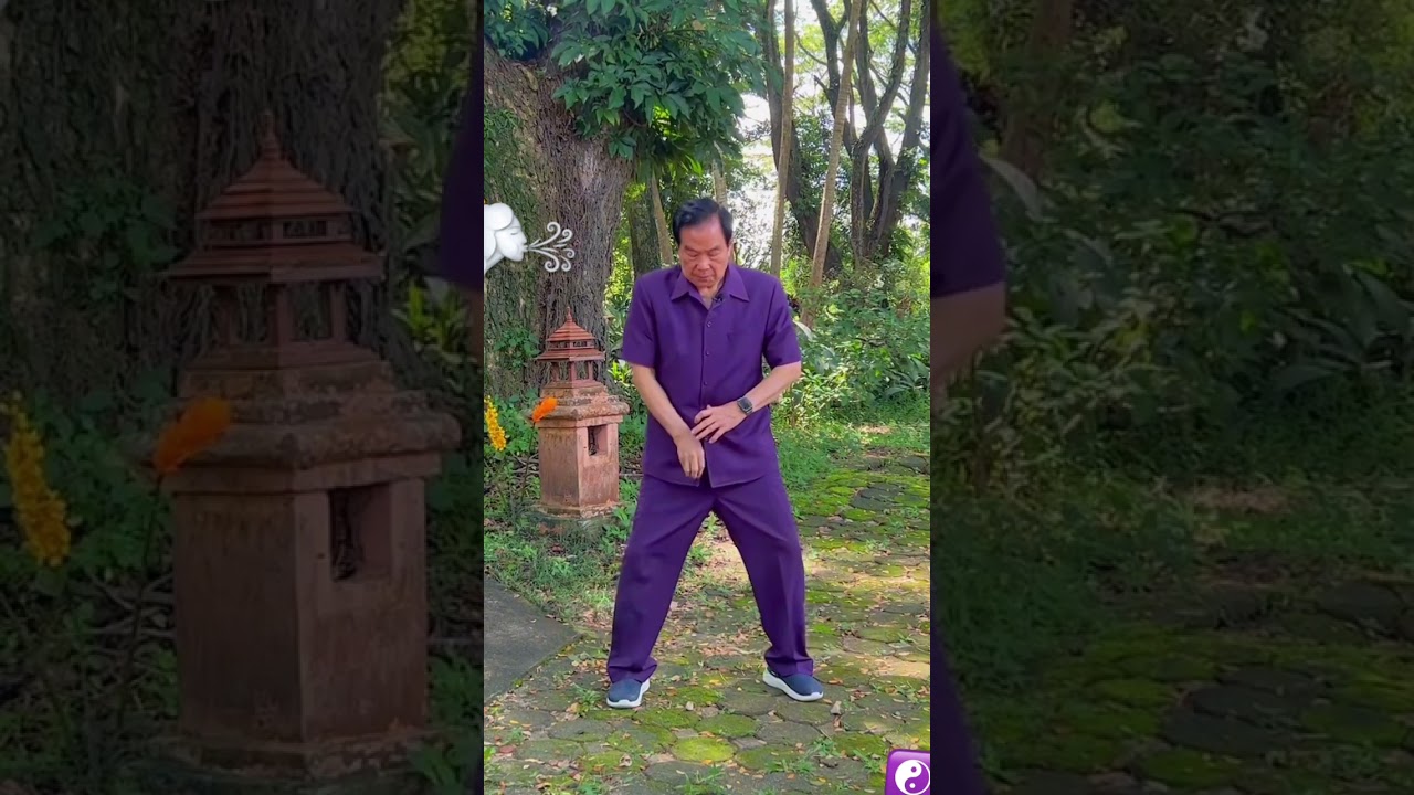 Reverse breathing technique by Taoist Master Mantak Chia☯️