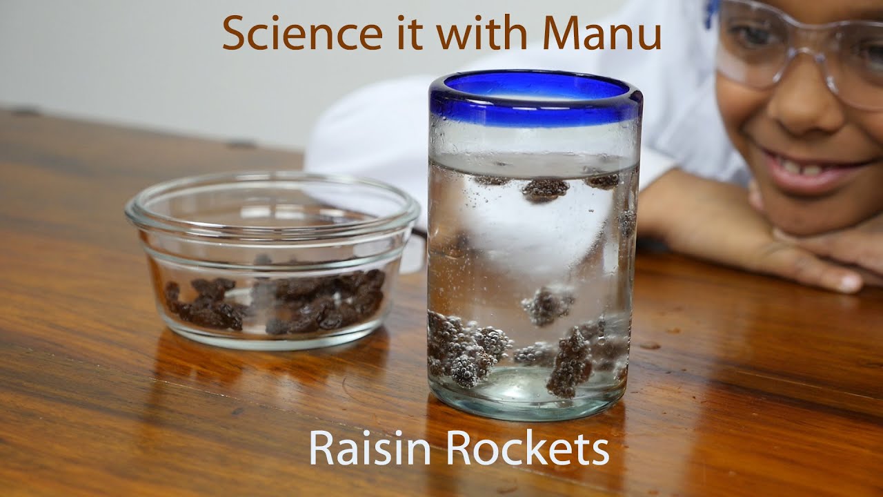 Raisin Rockets