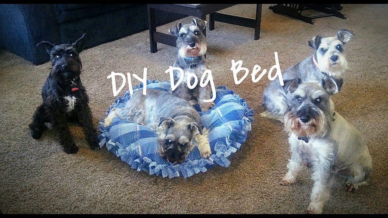 DIY Dog Bed || Schnauzers Get A New Bed || Dog Mom Life