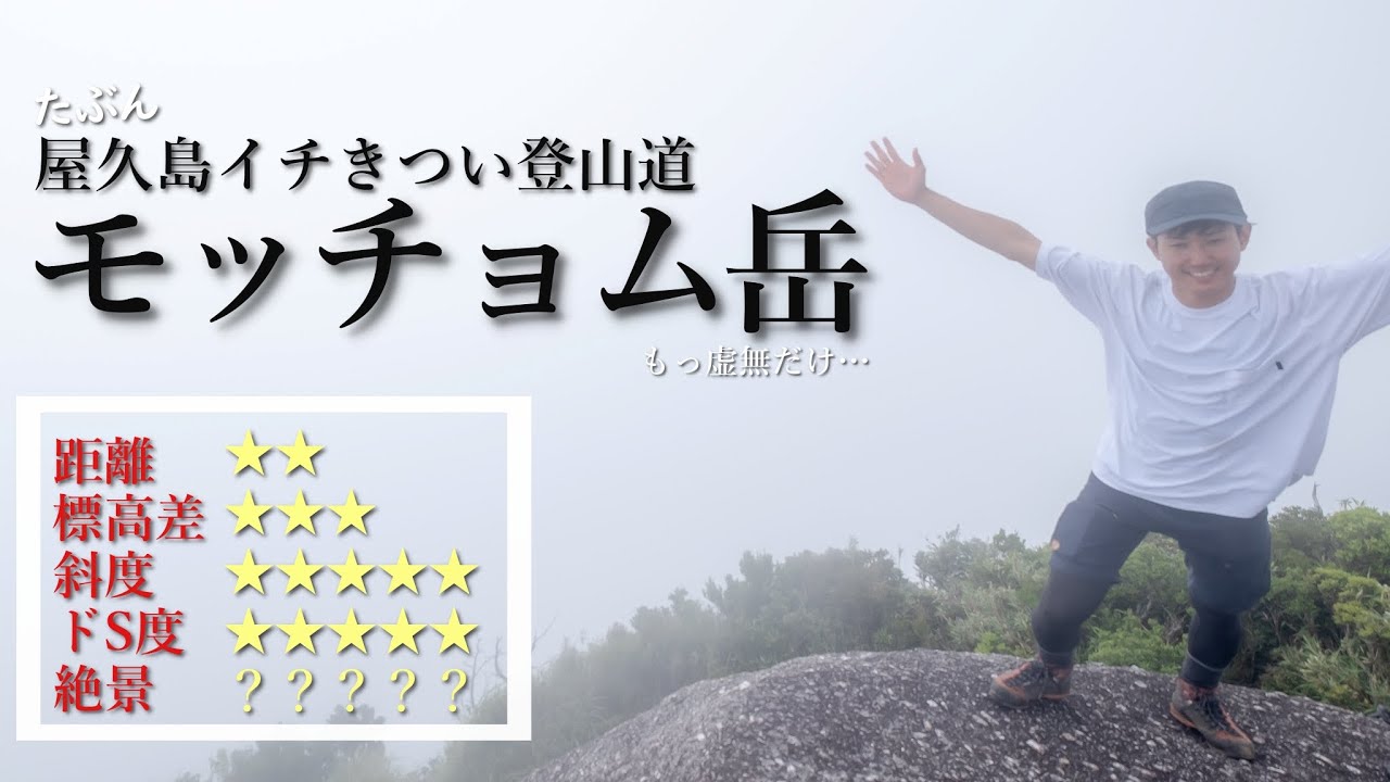 【屋久島登山】モッチョム岳｜完全に油断した…こんなにきついとは…！
