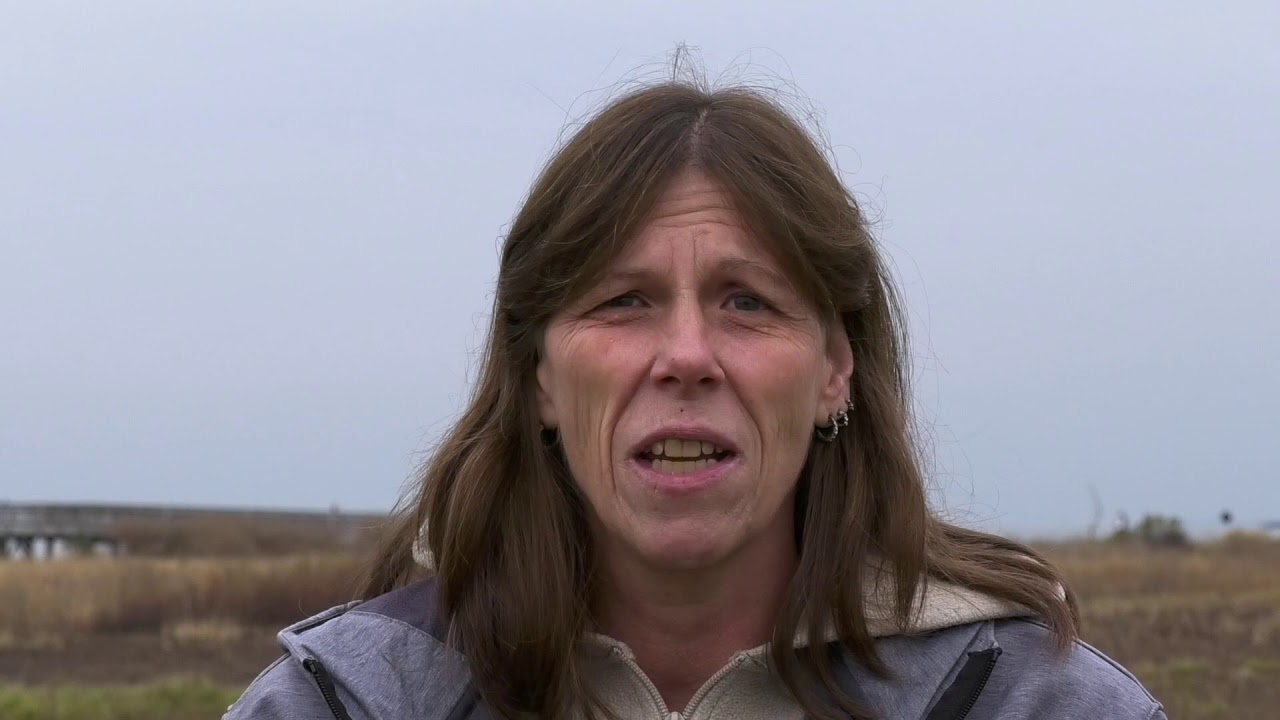 The Questionable Legend of Charles Island