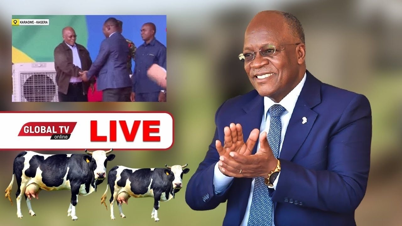🔴#LIVE: RAIS MAGUFULI Apewa ZAWADI ya NGO'MBE WANNE wa MAZIWA Akizindua KIWANDA cha KAHAMA FRESH...