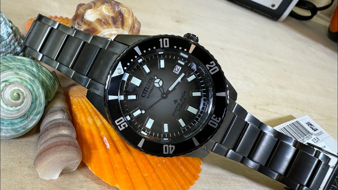 citizen Promaster Fujisubo Super Titanium NB6025-59H