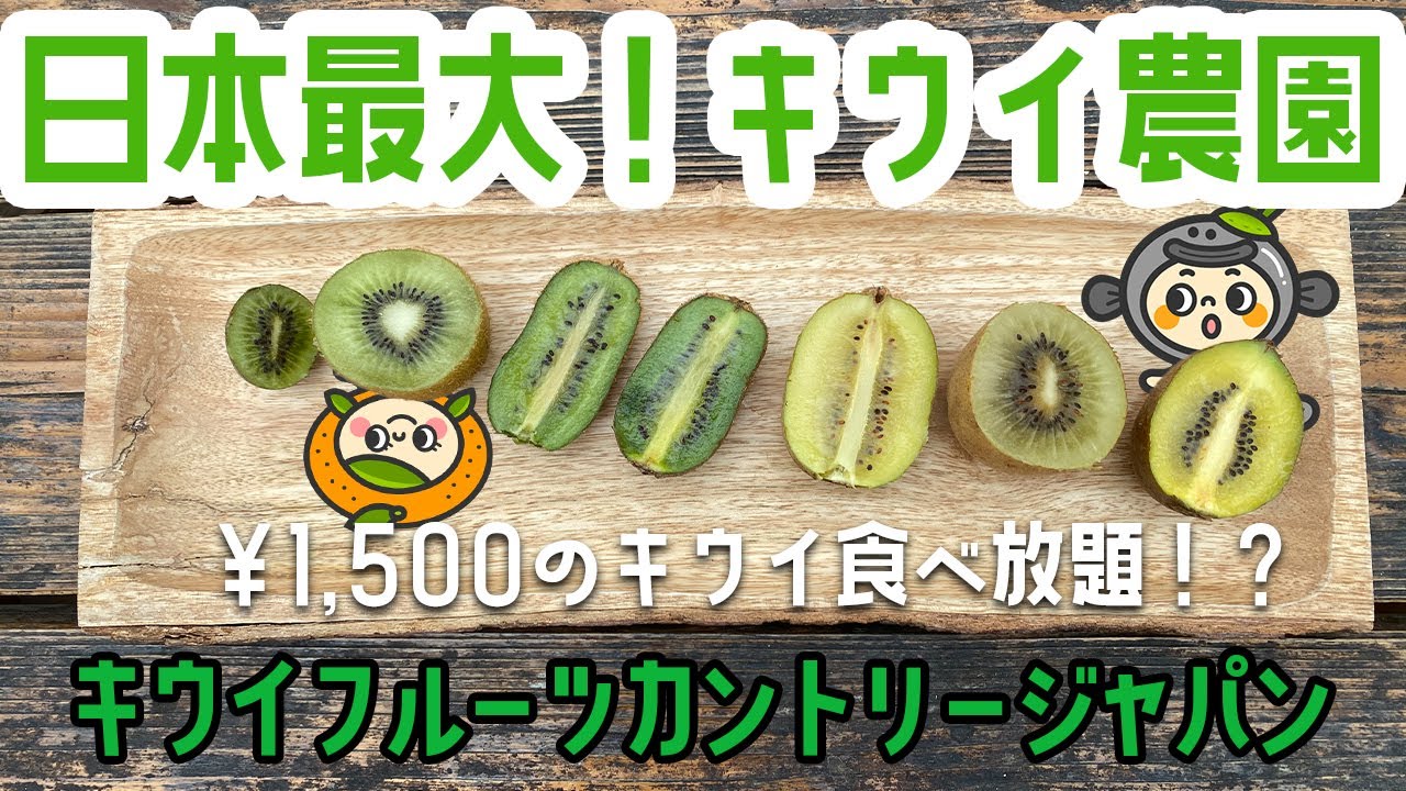 【世界でここだけしか食べられない！】日本最大の静岡穴場スポット キウイフルーツカントリージャパン 前編