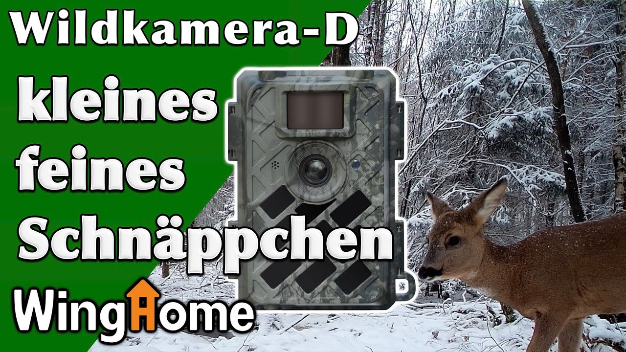 Die kleine feine billige Winghome 630M eine Wildkamera Empfehlung
