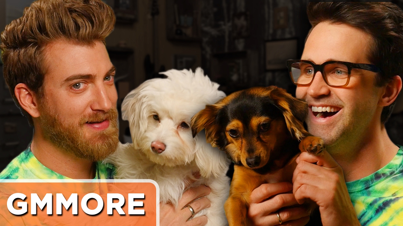 Rhett & Link Dog Update