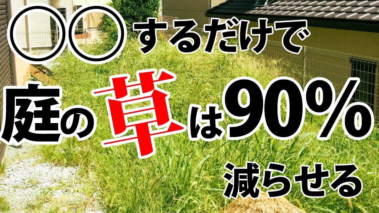 週末にお庭の草むしりをしなくてよくなる方法を実践【雑草対策をしたい方向け】