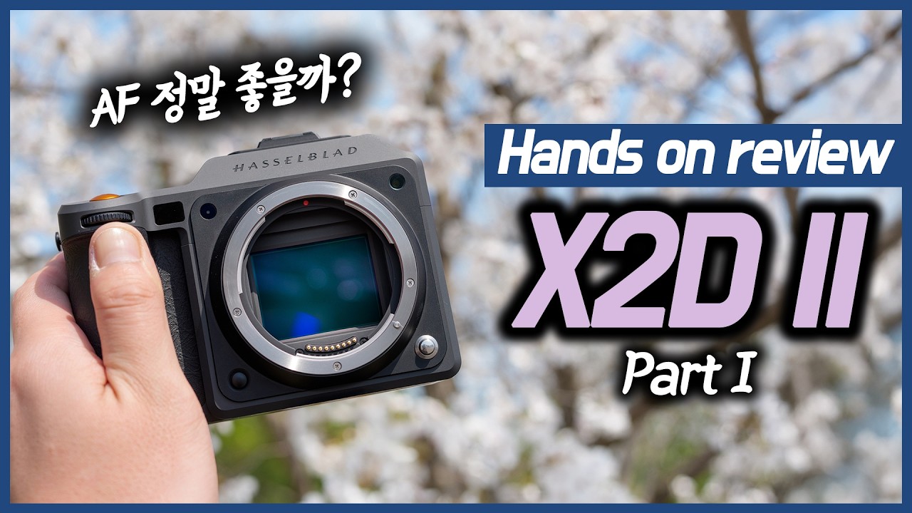 핫셀 X2D II - AF는 얼마나 좋을까? [리뷰 1편]