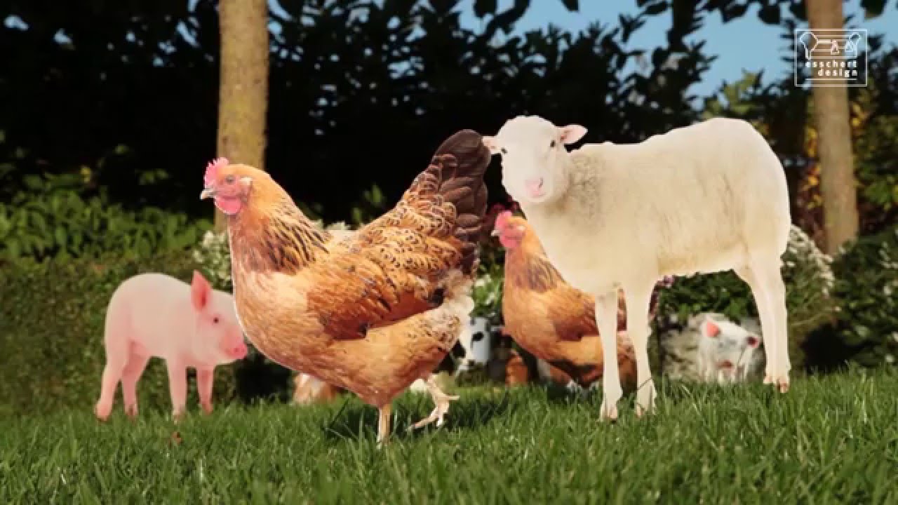 Hoe fleur ik mijn tuin op? | Esschert Design: Farm Animals