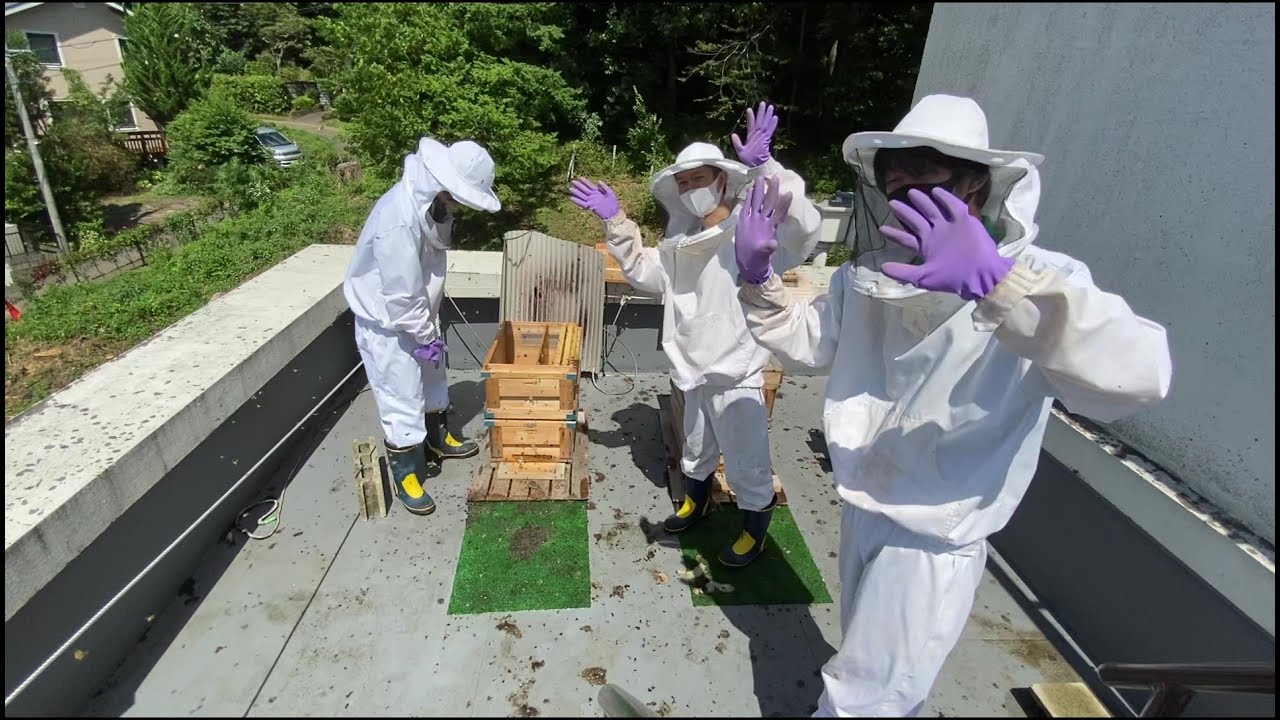 【活動動画】内検編