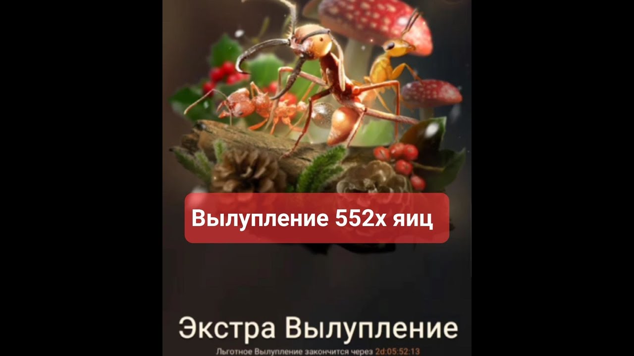 Мегавылупление от  игрока WILK