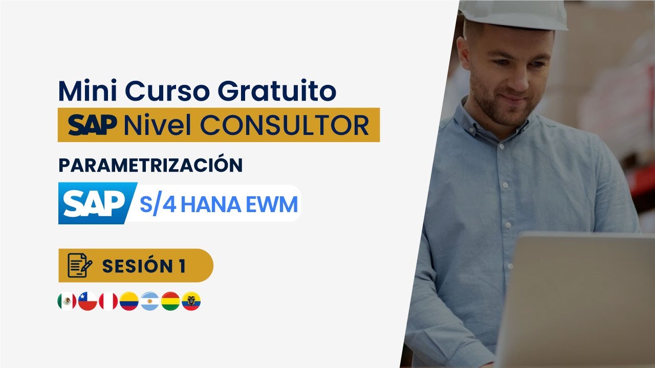 CURSO CONSULTORIA EWM - overview