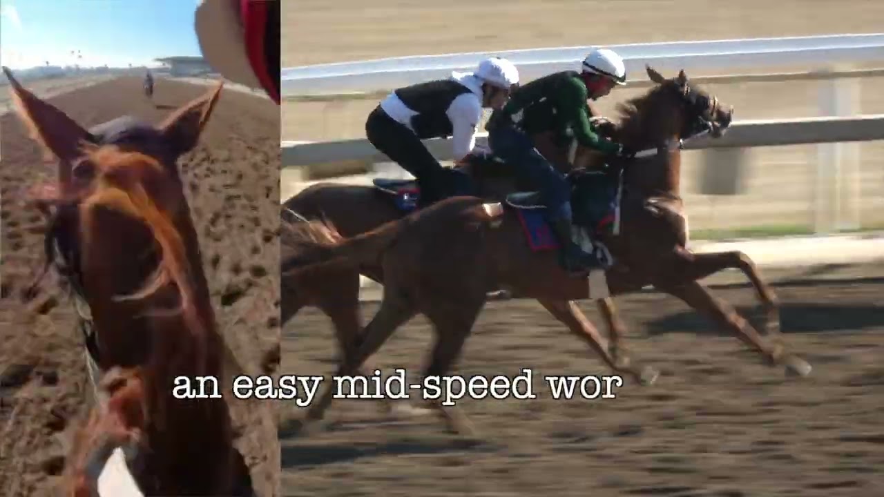 Kizazi and Ramblin Boy at Santa Anita 6 30 25