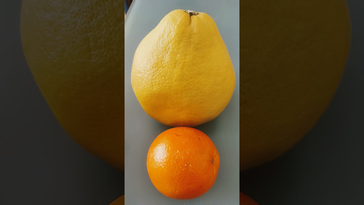 ORANGE 🍊 AND POMELO #shorts #trending #viral #mybloopers #ofwhongkong