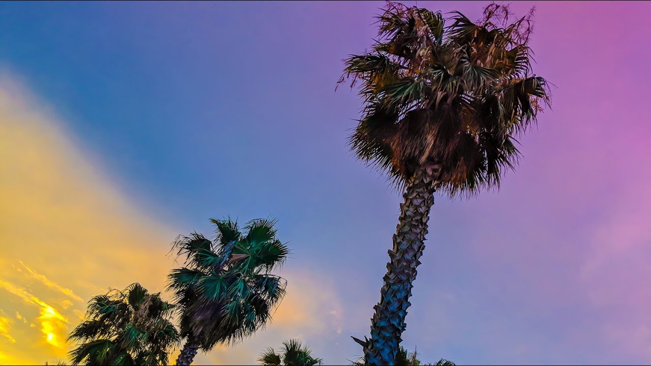 WOW air Travel Guide | Barcelona Beaches