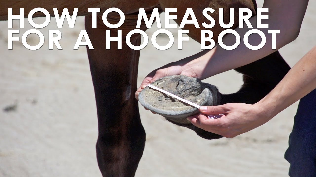 How To Measure Your Horse for Hoof Boots