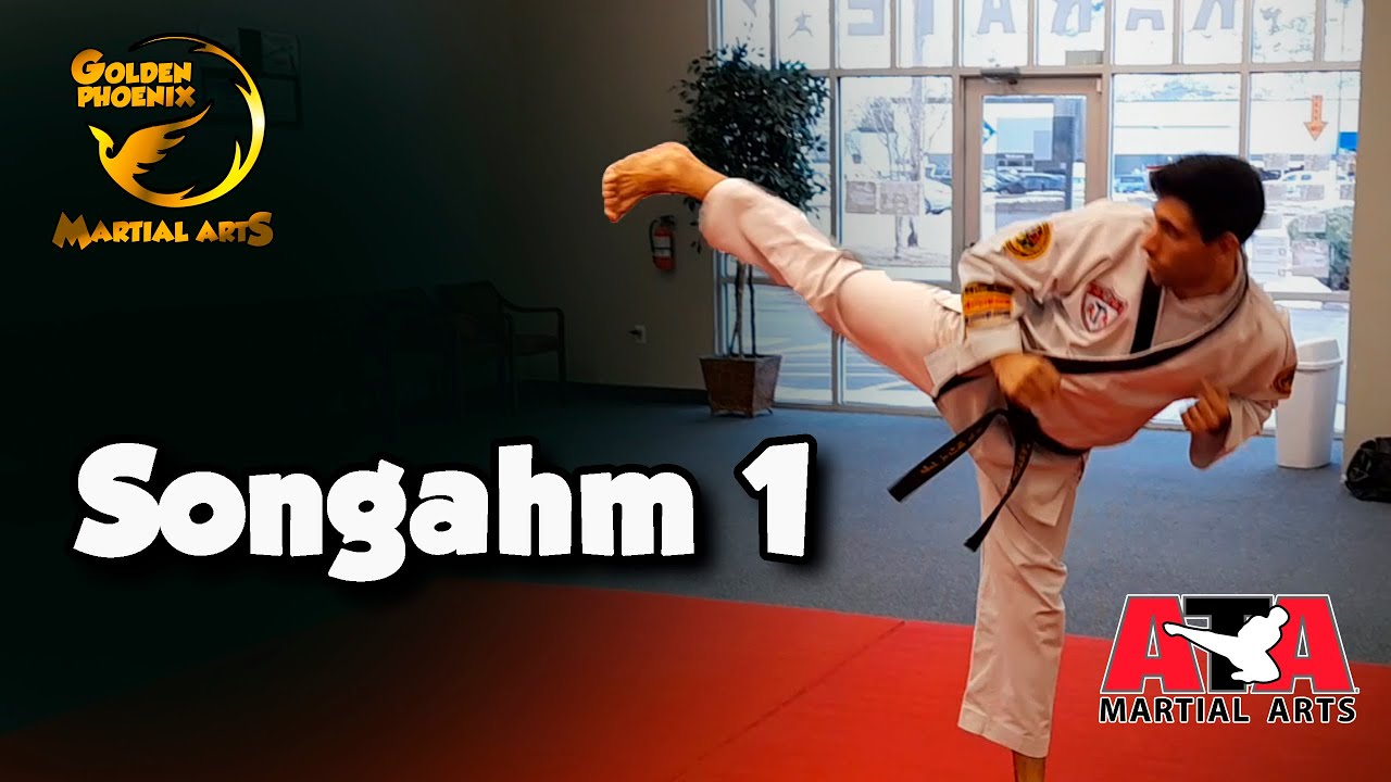 Songahm 1 - White Belt Form - Taekwondo ATA