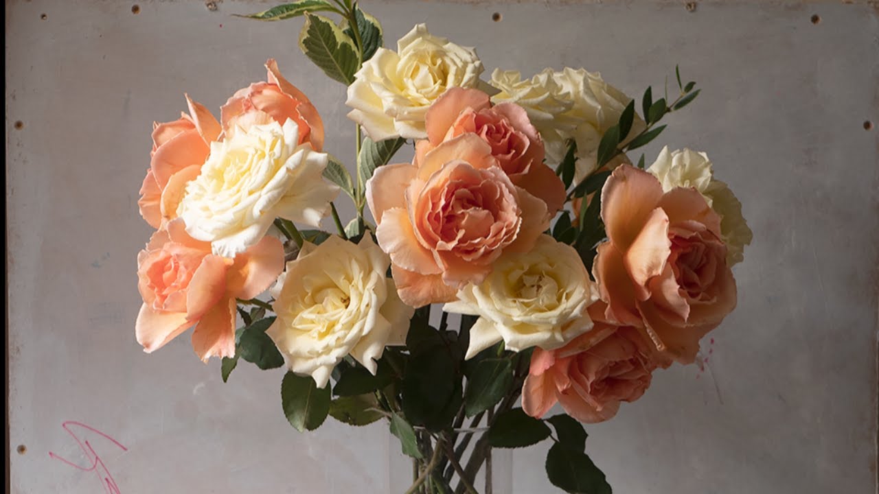 Colour Mixing for Roses - How to Keep the Vibrance