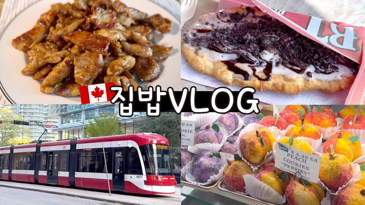 후덜덜한 🇨🇦외식물가 결국엔 집밥, 돼지등심구이, 토론토 다운타운 구경, 잡다구리/신발 언박싱 | 🇨🇦집밥브이로그 캐나다주부