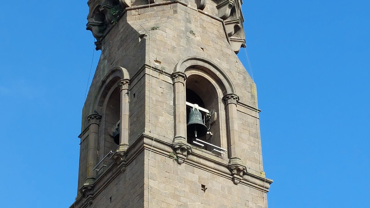 Le campane di Peccioli(PI) Pieve di San Verano,Distese festive per la Santa Messa Solenne Patronale