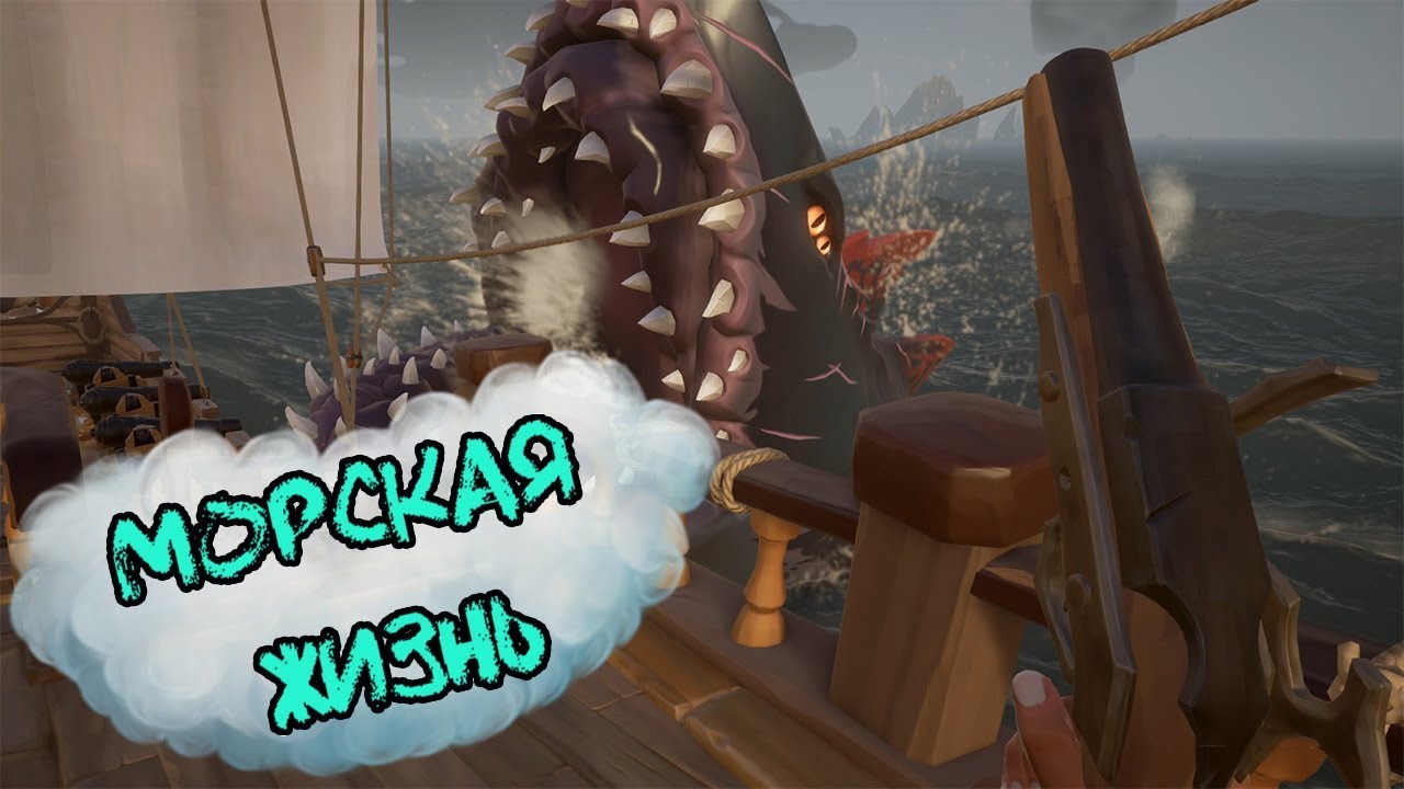 Морская жизнь (mix)