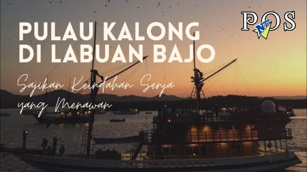 Puluhan Kelelawar di Pulau Kalong, Labuan Bajo NTT