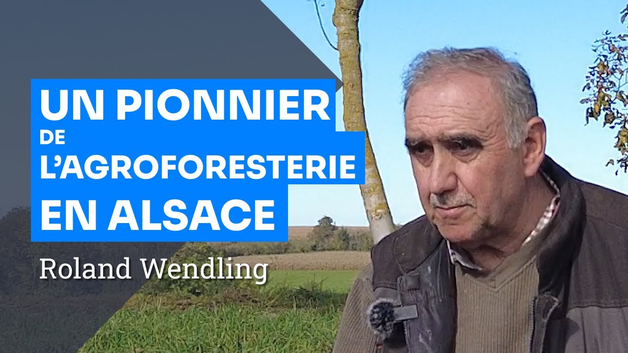 12 Ans d&rsquo;Agroforesterie pour des Terres Fertiles en Alsace, Roland Wendling