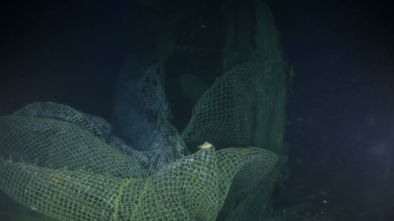 SS Ventnor - 150m deep wreck dive