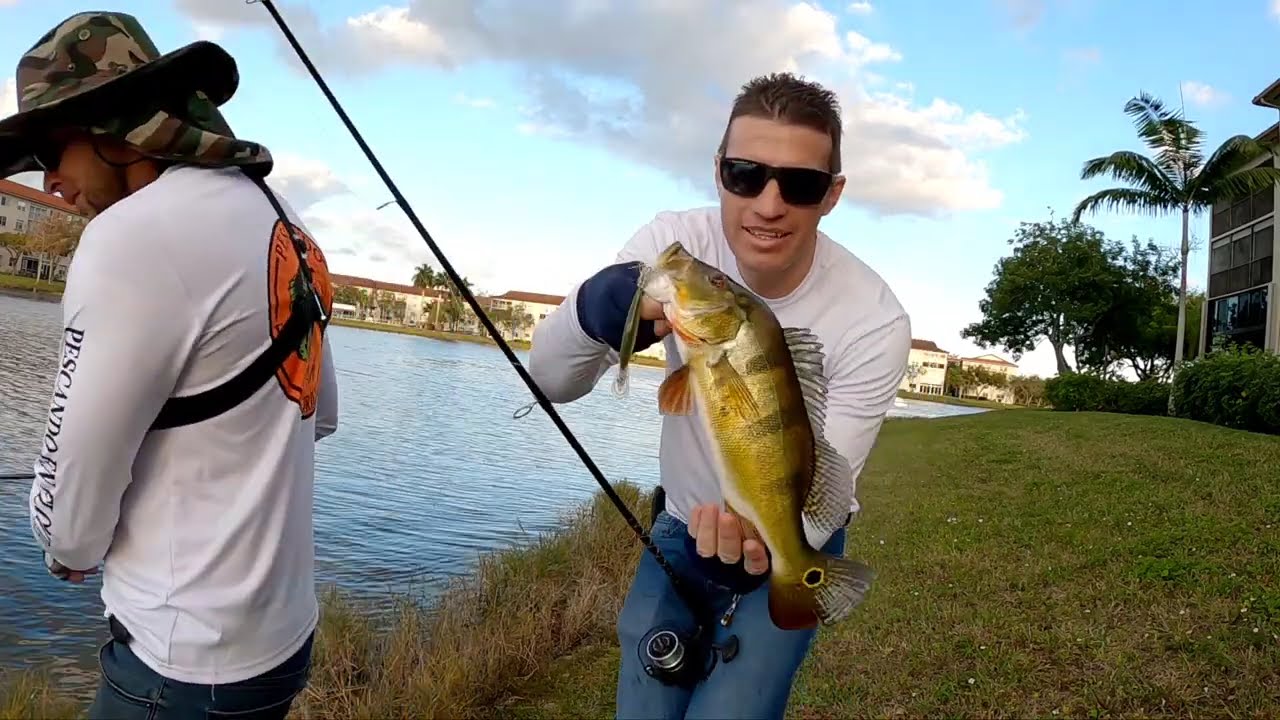 RETO PESCANDO Peacock Bass y Black Bass con Se&ntilde;uelos Artificiales  Muy Efectivos