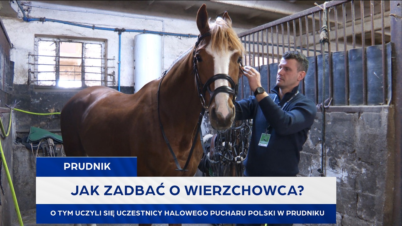 Jak zadbać o wierzchowca? O tym uczyli się uczestnicy Halowego Pucharu Polski w Prudniku